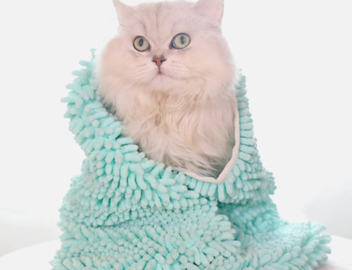 Groothandel zachte en comfortabele duurzame chenille stof microfiber huisdierendoek voor katten